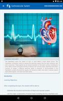 Cardiovascular System Affiche