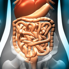 Gastrointestinal System simgesi