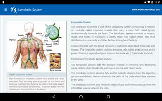 Lymphatic System screenshot 1