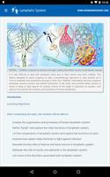 Lymphatic System screenshot 2