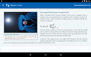 Magnetic Forces screenshot 1