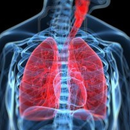 Respiratory System APK