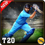T20 Cricket Game 2017 ícone