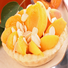 Apricot Recipes ไอคอน