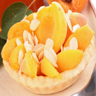 Icona Apricot Recipes