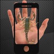 Scorpion à la main