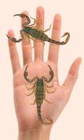 Scorpion à la main Affiche