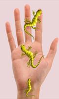 Lizard on hand Camera Prank 포스터