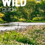 Wild Guide Yorkshire  Dales