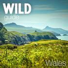 Wild Guide Wales 圖標