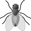 Муха - тренировка внимания APK