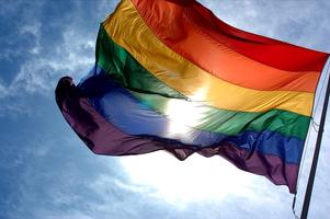 Gay Pride Wallpapers in HD captura de pantalla 2