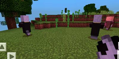 Mehr Totems. MCPE Addon Screenshot 1