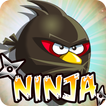 Ninja en colère