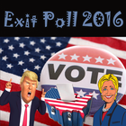 Exit Poll America icône