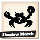 APK Match the right shadow