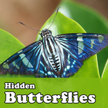 Hidden Butterflies