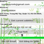 Icona Tôi ở đây - email noads