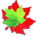 Toddler Game Water Ripple Leaf icono