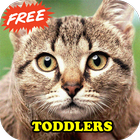 Toddler Animal Sounds Baby آئیکن