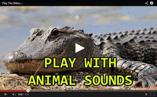 Toddler Animal Sounds Baby Affiche