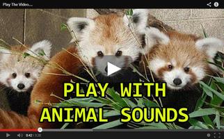 Toddler Animal Sounds Baby screenshot 1