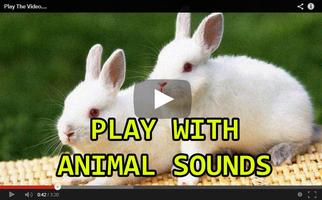 Toddler Animal Sounds Baby screenshot 2