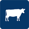 COW - 写真のフリマアプリ「COW」（カウ） APK