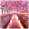 Free Jigsaw Puzzles Nature APK