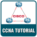 Learn CCNA aplikacja