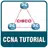 Learn CCNA APK
