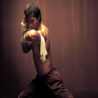 Tony Jaa HD Wallpaper syot layar 3