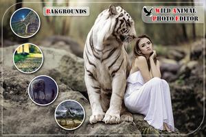 Wild Animal Photo الملصق