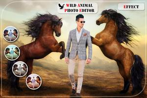 Wild Animal Photo تصوير الشاشة 1