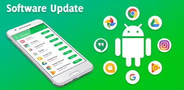 Software System Update