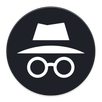 VPN Incognito APK