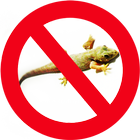 Golizard ícone