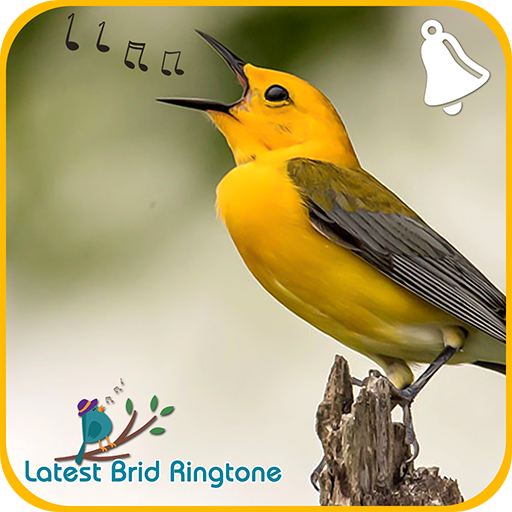 Bird Ringtones 2018 / Latest Bird Sounds 2018
