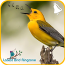 Bird Ringtones 2018 / Latest Bird Sounds 2018 APK
