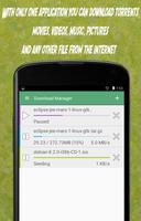 Torrent Download Manager poster