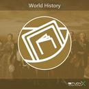 Top facts: World History APK