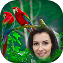 Birds Photo Frames APK