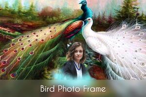 Birds Photo Frames Affiche