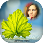 Leaf photo frames icon