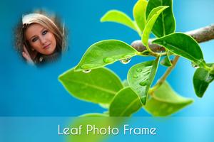 Leaf photo frames постер