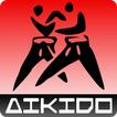 Aikido training