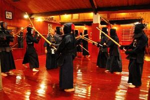 Kendo Training screenshot 3