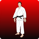 Learn Martial Arts aplikacja