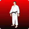 Learn Martial Arts APK