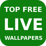 Top Live Wallpapers Apps ícone